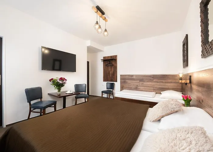 Hotel U šuláka Brno